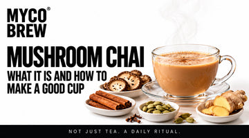 Mushroom Chai: What It Is and How to Make a Good Cup
