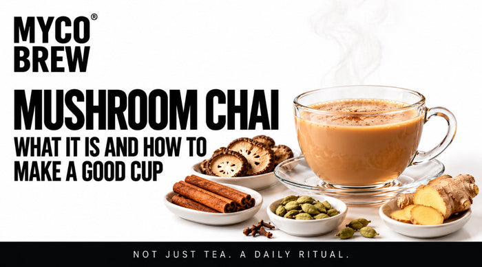 Mushroom Chai: What It Is and How to Make a Good Cup