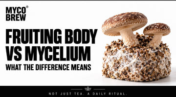 Fruiting Body vs Mycelium: What the Difference Means