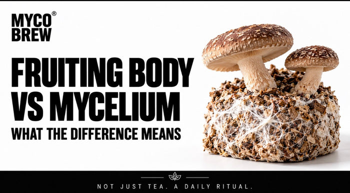 Fruiting Body vs Mycelium: What the Difference Means