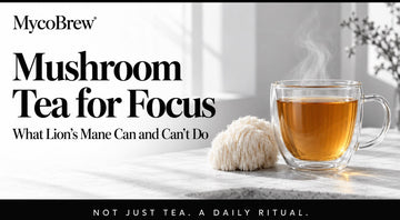 Mushroom Tea for Focus: What Lion's Mane Can and Can't Do