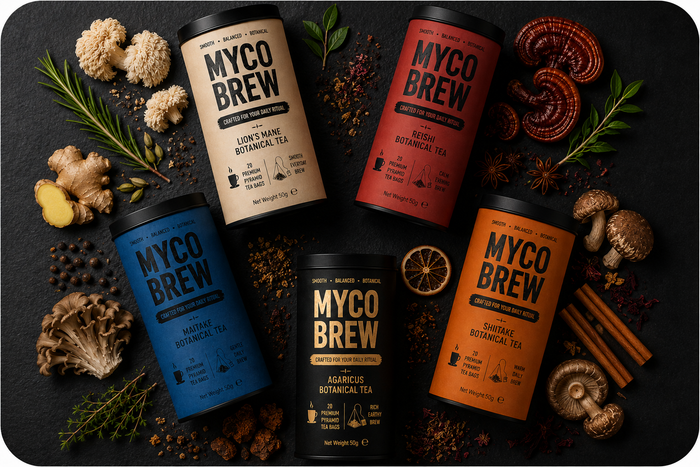 Which MycoBrew Tea Is Right for You? A Complete Guide